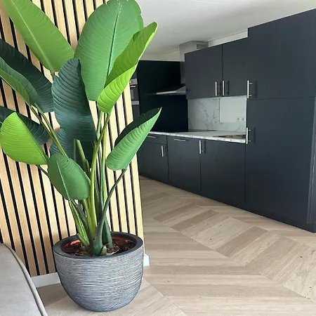 Spacious For 12-guests, Feriehus
