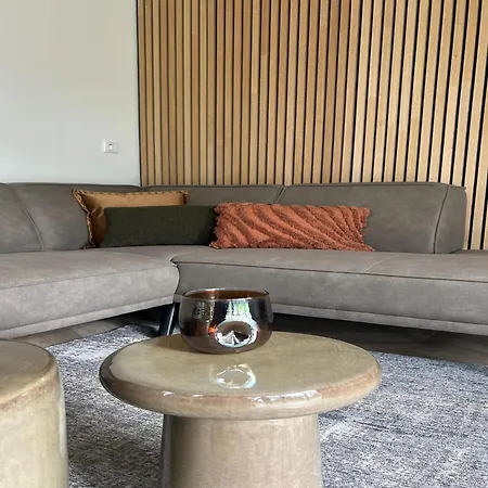 Spacious For 12-guests, Ulicoten